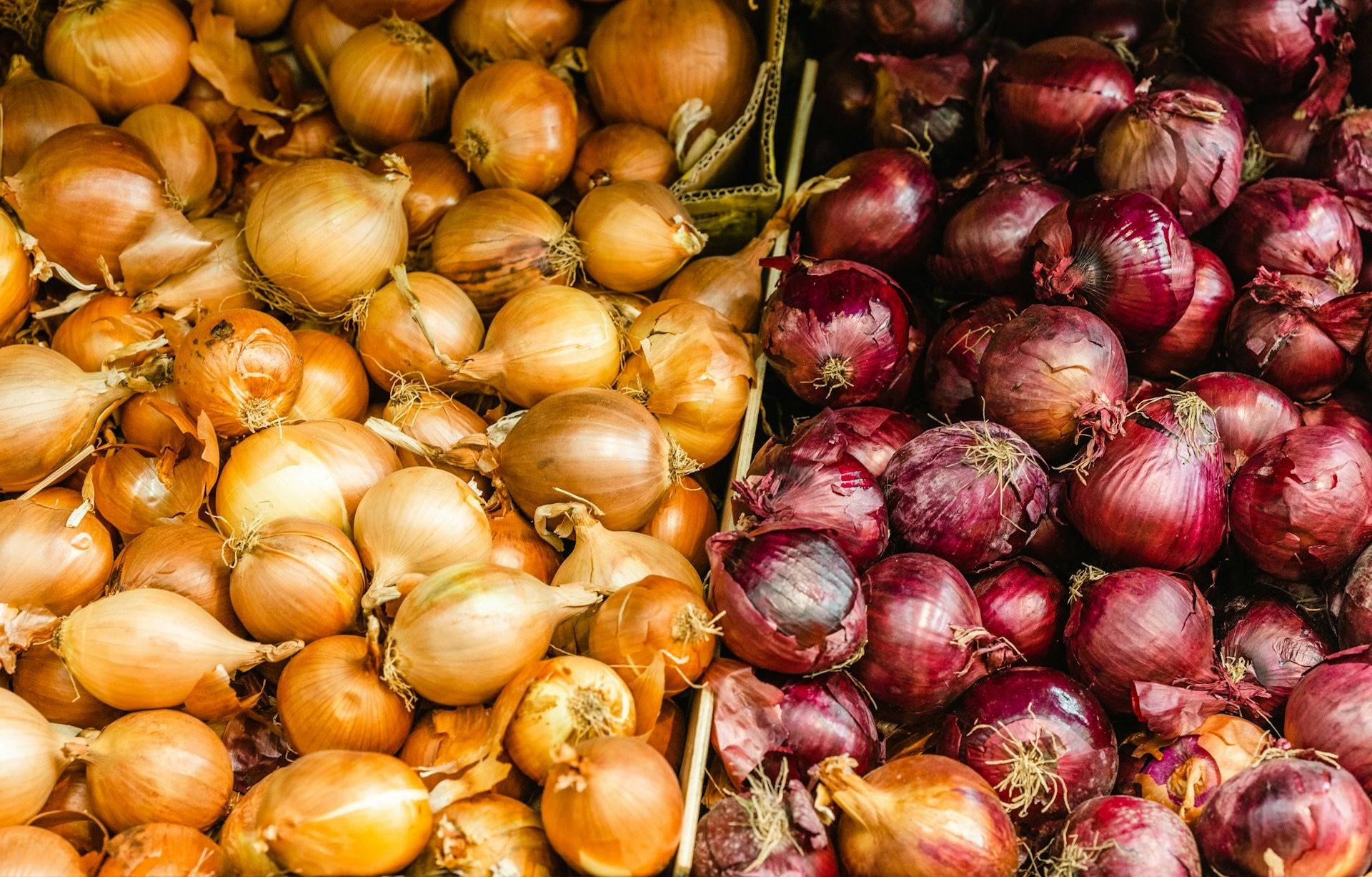 Piantine e Bulbi